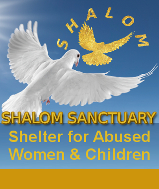 white dove flying on clear blue sky